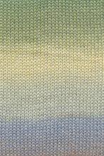 Load image into Gallery viewer, Lang Silk Color