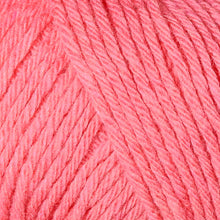 Load image into Gallery viewer, Berroco Renew