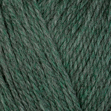 Load image into Gallery viewer, Berroco Ultra Wool DK