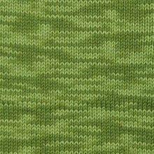 Load image into Gallery viewer, Berroco Vintage Handpaint