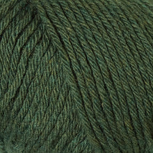 Load image into Gallery viewer, Berroco Renew