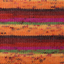 Load image into Gallery viewer, Berroco Comfort Print