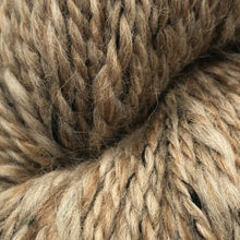 Load image into Gallery viewer, Berroco Inca Tweed