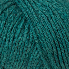 Load image into Gallery viewer, Berroco Renew