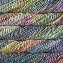 Load image into Gallery viewer, Malabrigo Rios