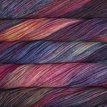 Load image into Gallery viewer, Malabrigo Arroyo