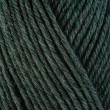 Load image into Gallery viewer, Berroco Ultra Wool