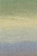 Load image into Gallery viewer, Lang Silk Color
