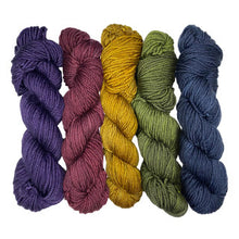 Load image into Gallery viewer, Wonderland Yarns Mini Skein 5 Pack - Mary Ann
