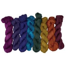 Load image into Gallery viewer, Wonderland Mini Skein 8 pack:  Mary Ann
