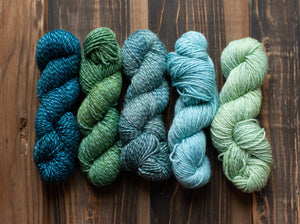 Mountain Colors Twizzlefoot Perspectives